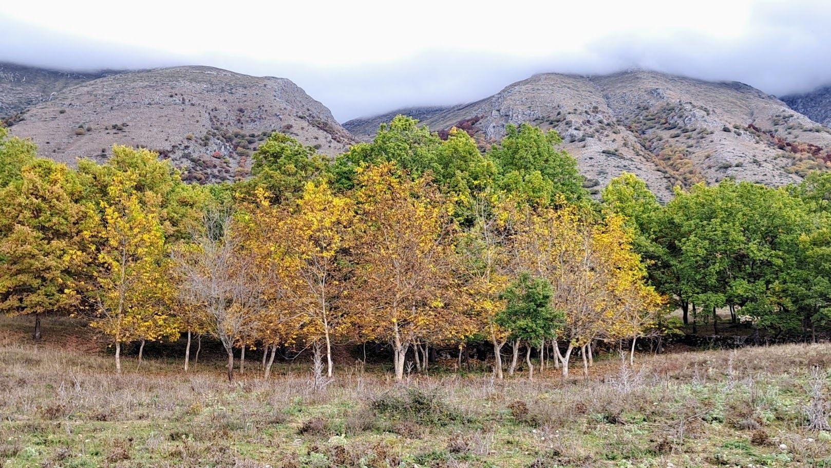 dove andare in autunno: paesaggio di montagna con colori autunnali