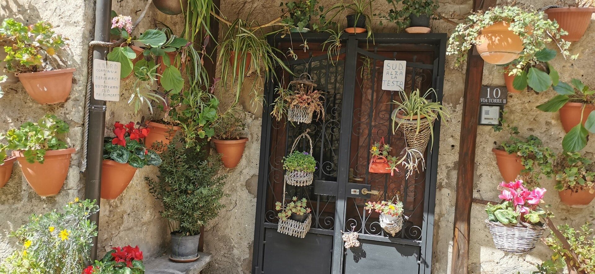 Le piante sono verdi?