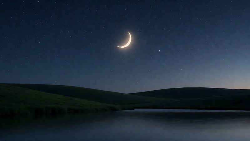 Oroscopo settimanale, come leggerlo e cosa aspettarsi dagli astri 3 Oroscopo settimanale consultato con un'agenda e una tazza di tè accanto alla ruota zodiacale