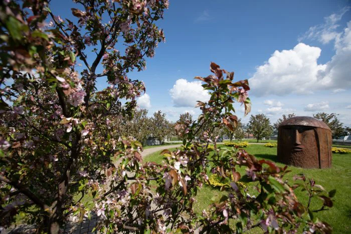 Смотровые площадки Подляского воеводства: лучшие места для панорамных видов