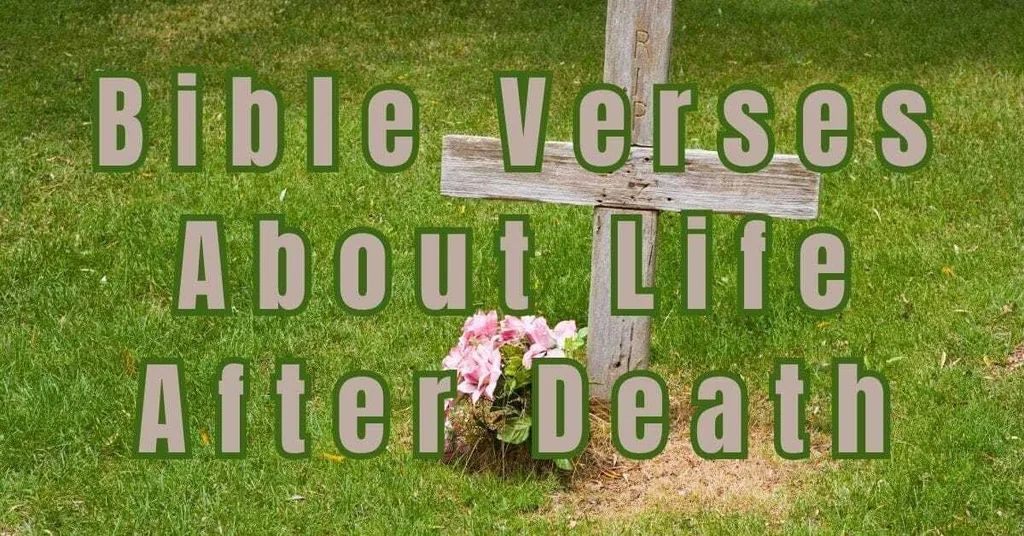 Bible Verses About Life After Death - Bible Verses for Me
