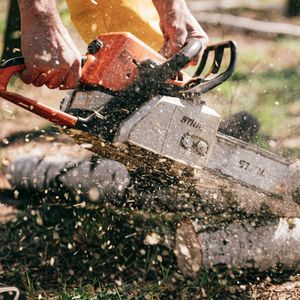 Website Design Digital Advertising for Tree Service Tree Removal Stump Grinding