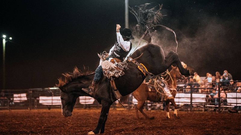 Rodeo Production Websites - Website Design for Rodeos by BLP MEDIA