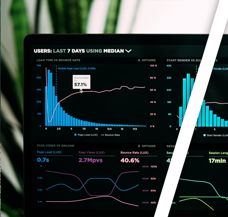 SEO sonuçlarını içeren bir ekran görüntüsü