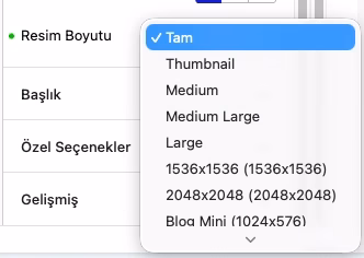 Küçük Resim Seçimi