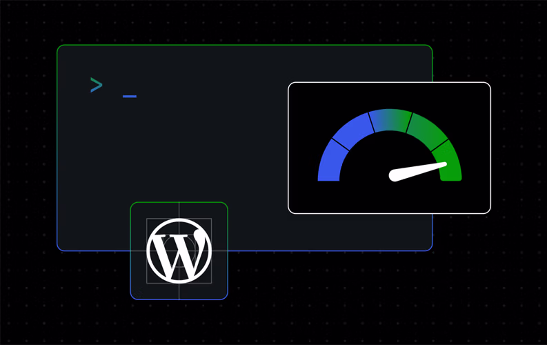 wordpress autoload siskinligi