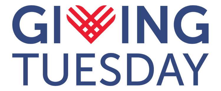 Support DSW This GivingTuesday