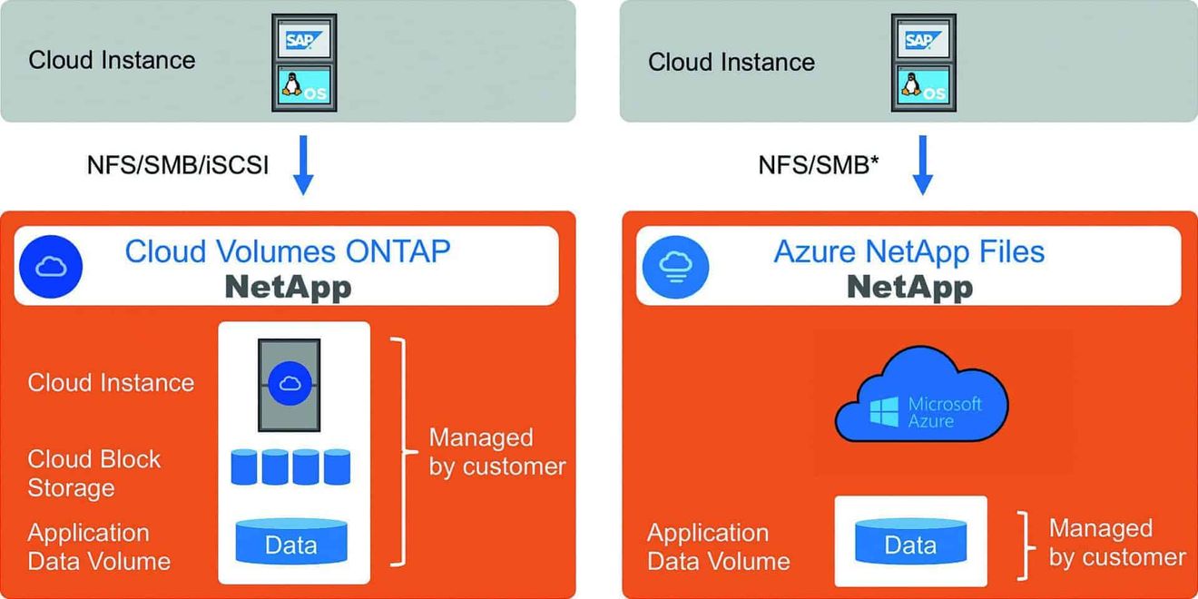 Fig. 1: Available on Microsoft Azure: Cloud Volumes Ontap and Azure NetApp Files.