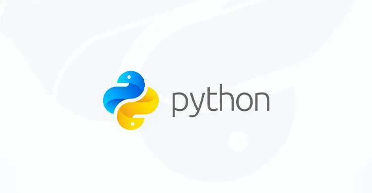 هاست پایتون؛ بهترین انتخاب برای سایت‌های مبتنی بر زبان Python
