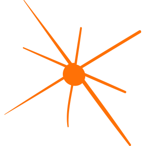 decorative-star-2-1