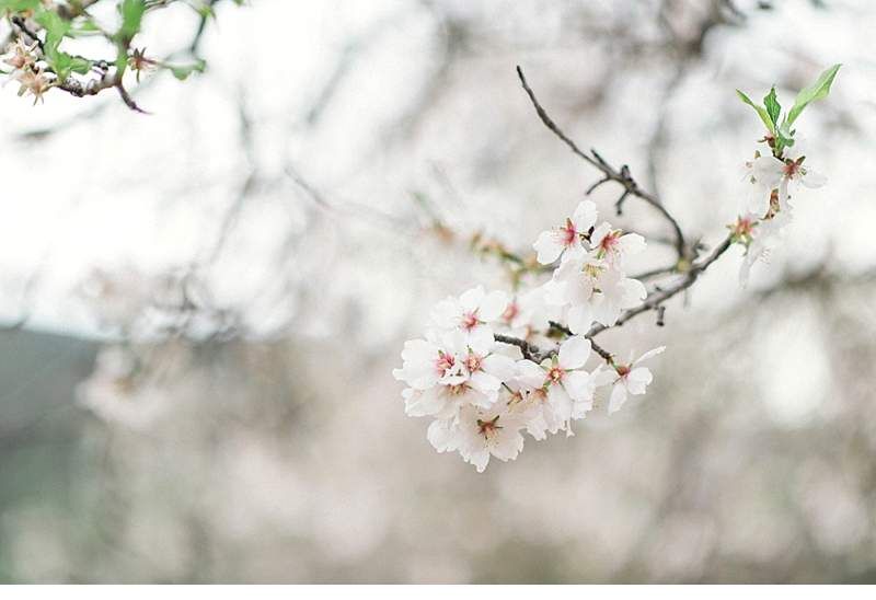 almond-blossom-bride-ibiza_0012