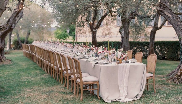 Ethereal wedding in the olive garden