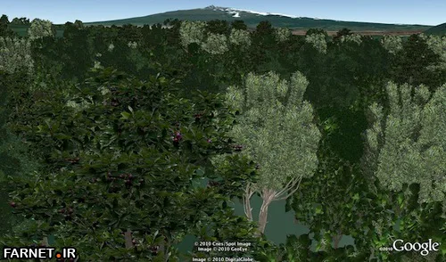 google earth 6.0 tree