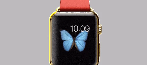 why-it-looks-like-the-screen-on-your-apple-watch-has-no-borders