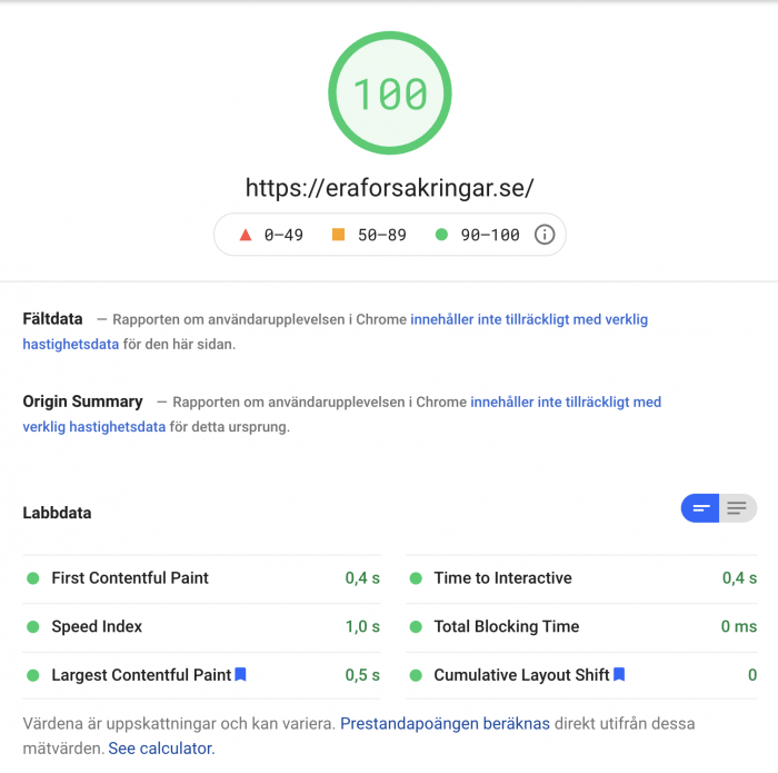 100 av 100 i Google PageSpeed