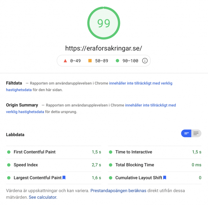 99 av 100 i Google PageSpeed