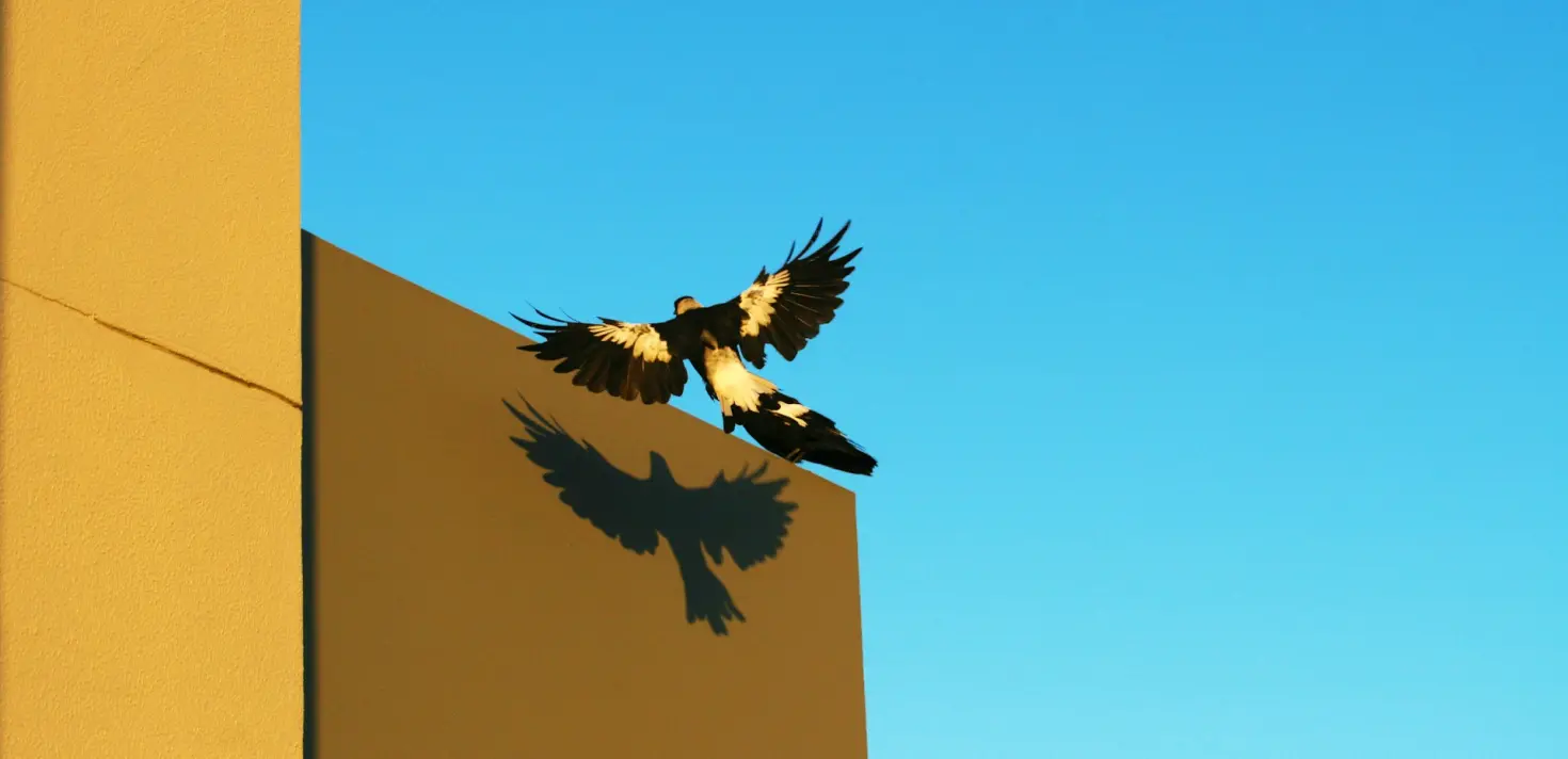 Landningssida inom SEO – Sidor för första kontakt