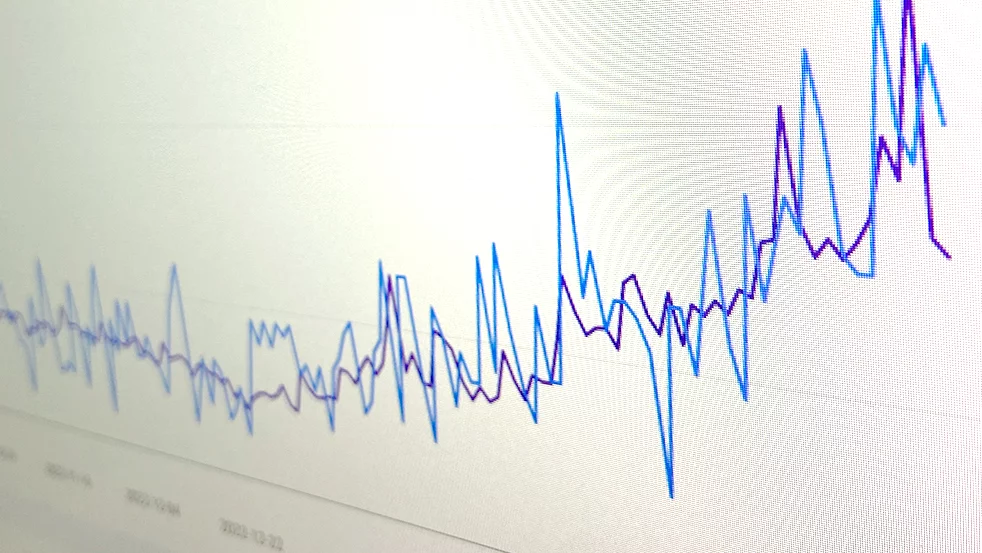 Pawpalace SEO resultat på Google