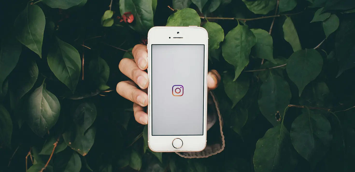 paid vs organic social