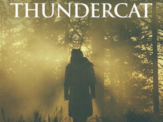 thundercat 2015