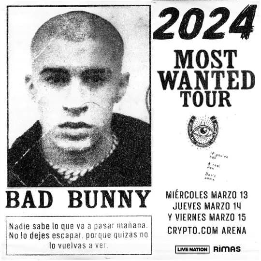 bad_bunny-2_50