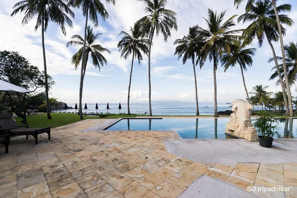 irregular shaped resort pool with palm trees