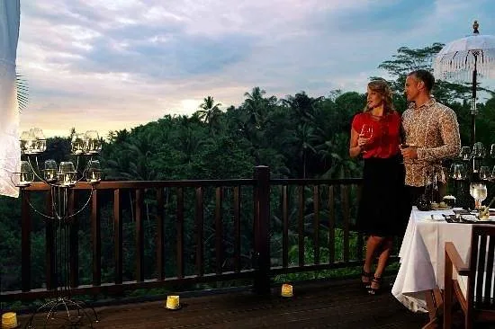 couple standing on balcony with trees in background