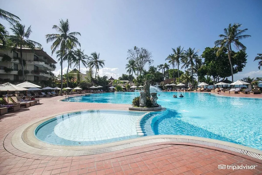 irregular shaped resort pool surrounded by palm trees