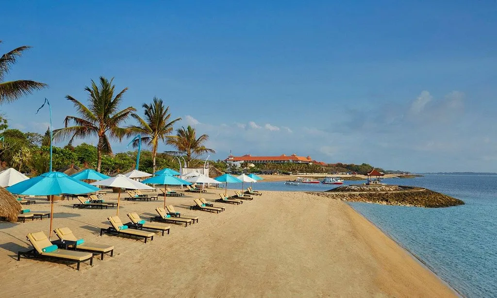 lounge chairs in a row on beach