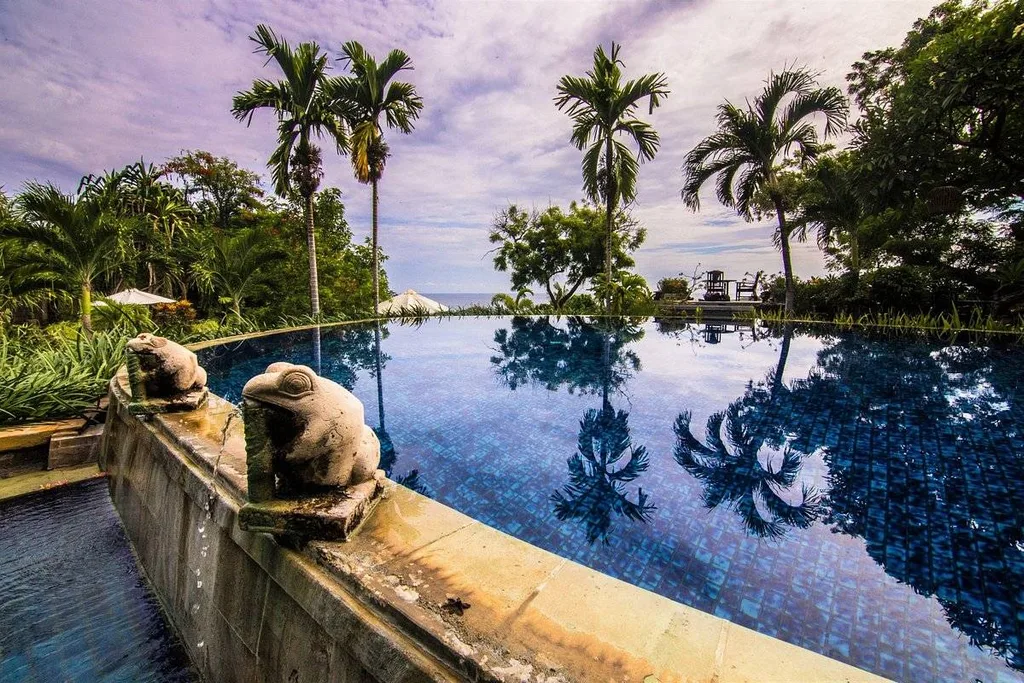 circular tropical resort pool surrounded by palm trees