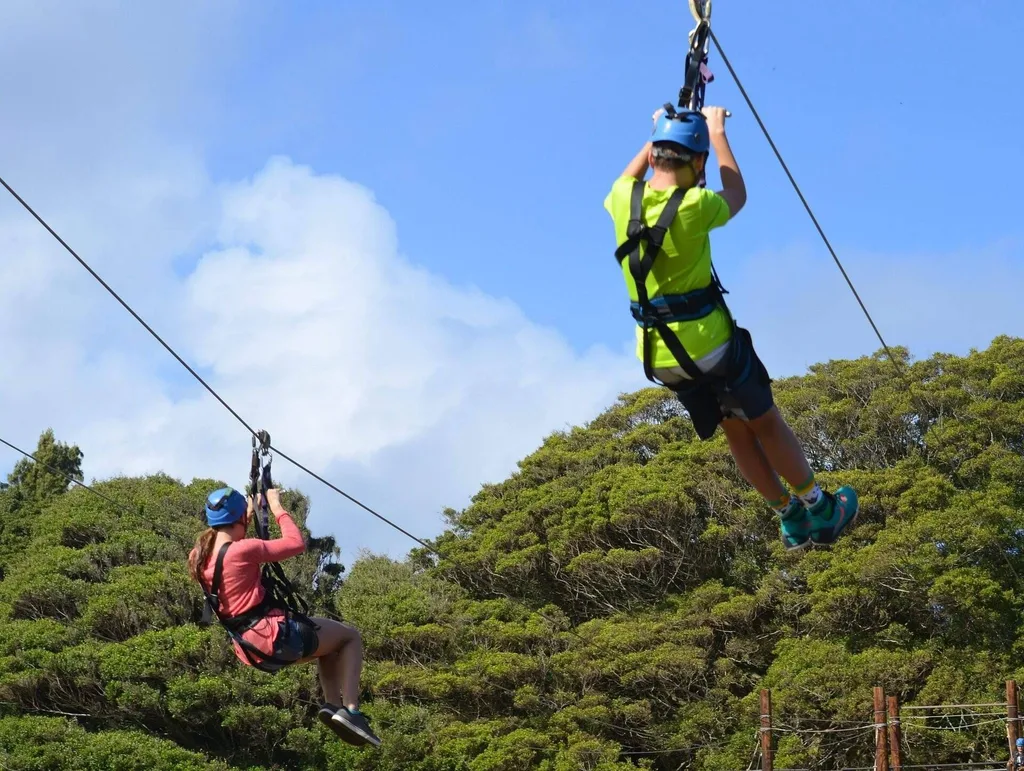 man and woman ziplining above the trees