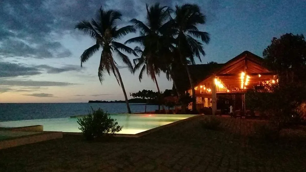 light pool at dusk with palm trees