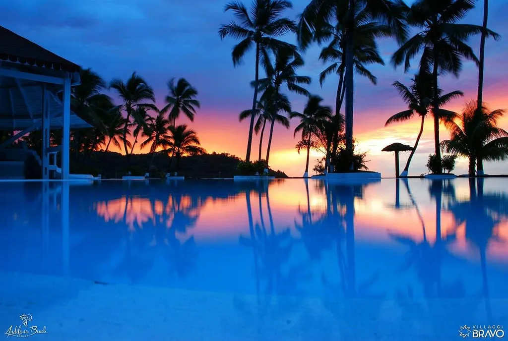 sun setting behind palm trees and pool