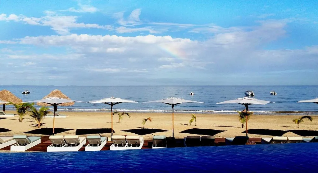 row of beach umbrellas at the beach