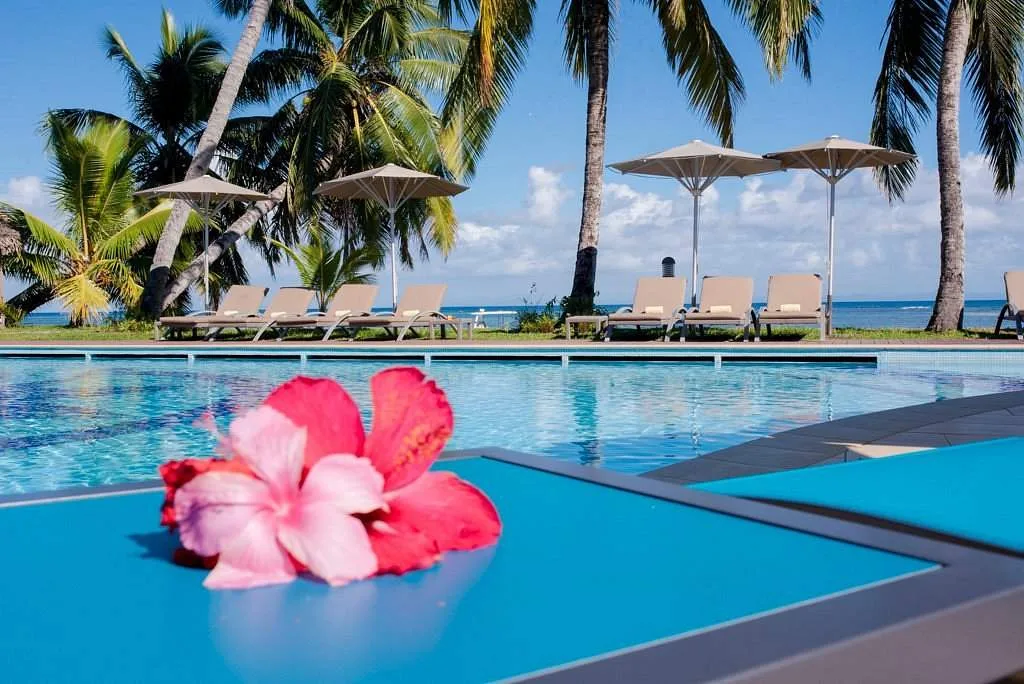 red flower on pool surrounded by pool chairs