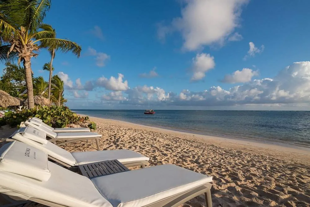 lounge chairs on a beach