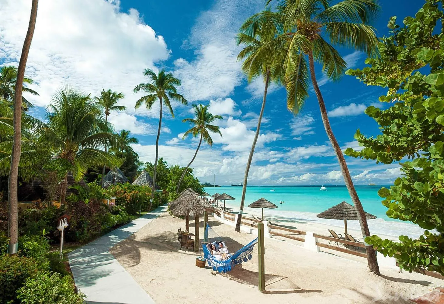 couple sitting in hammock at the beach