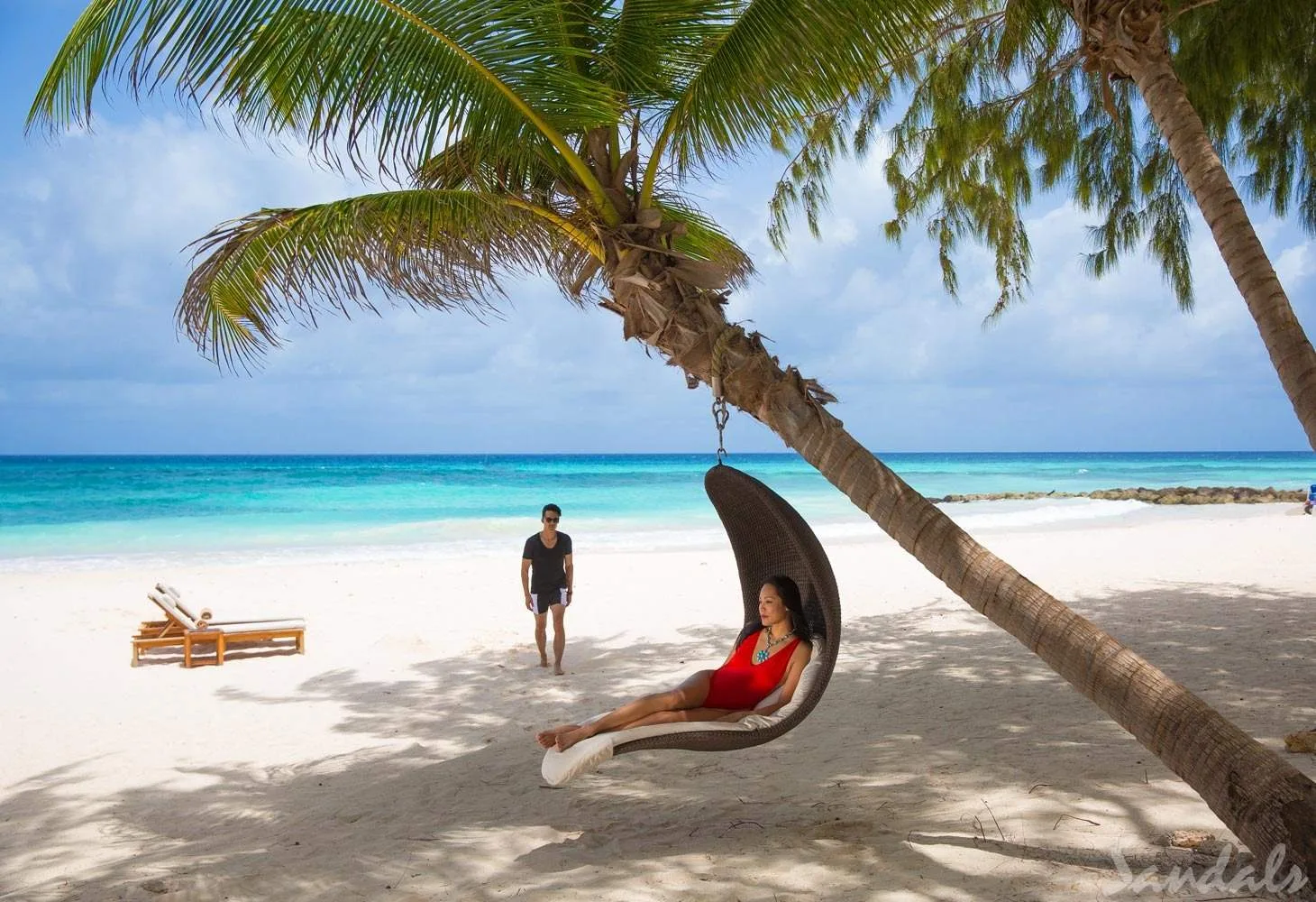 woman in hammock on palm tree