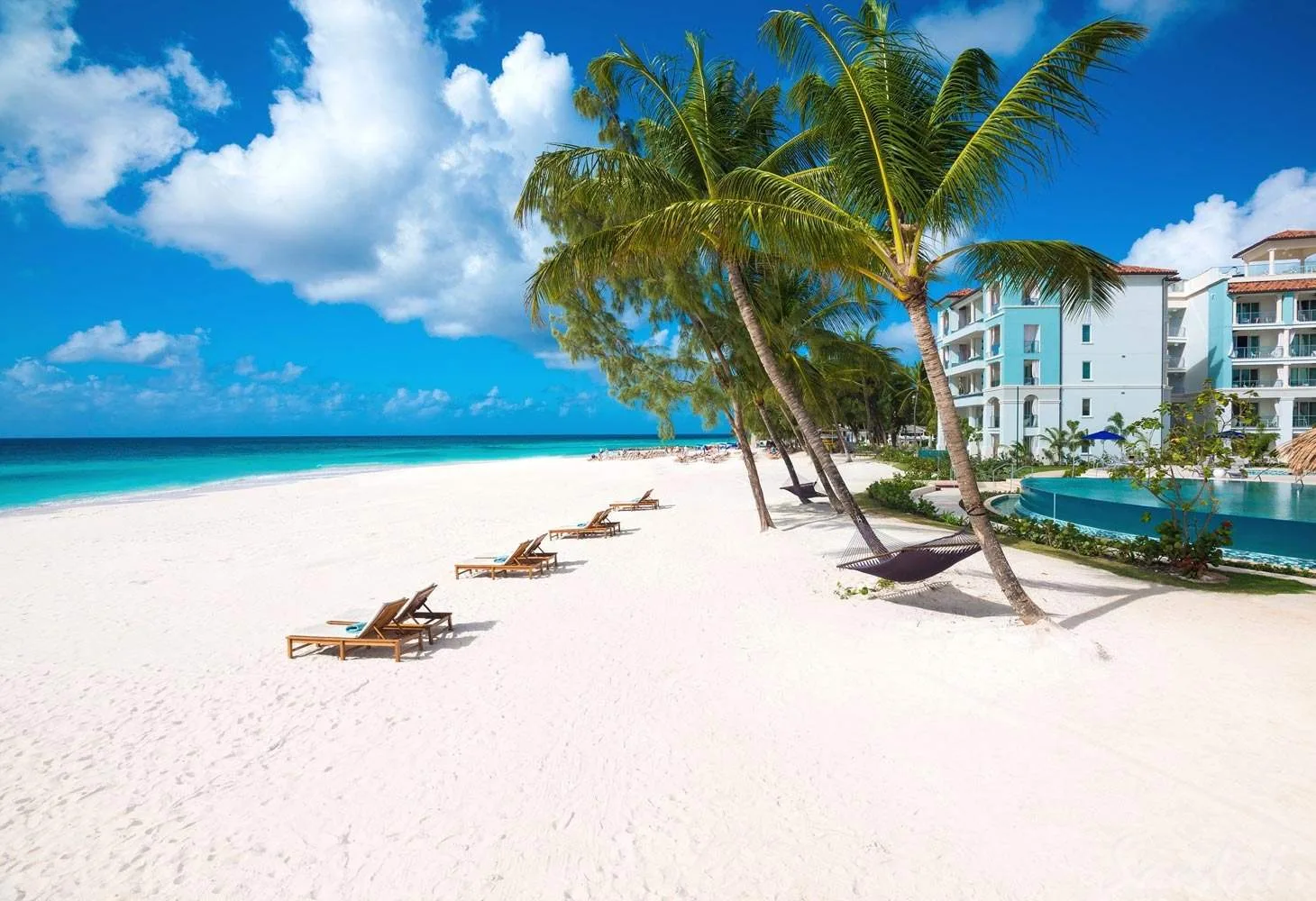 white sand beach with palm trees