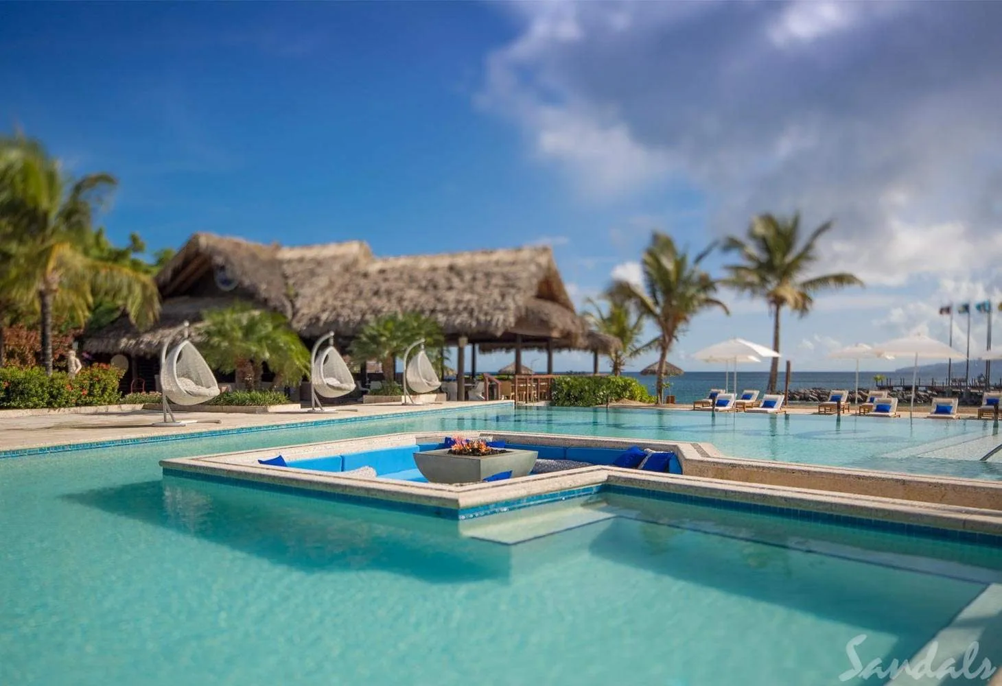 square pool with palm trees