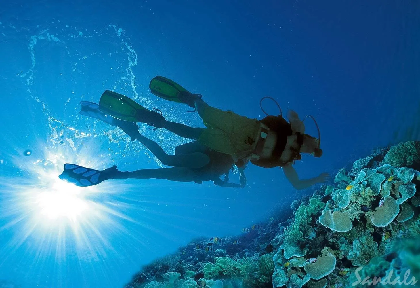 two people scuba diving