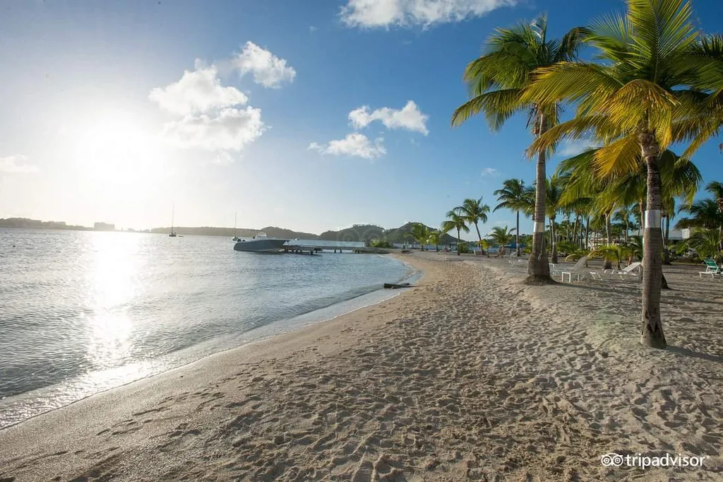 empty beach with palm trees