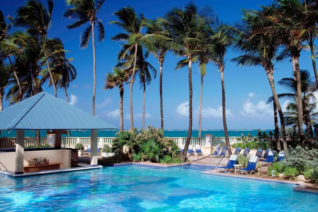 resort pool surrounded by palm trees