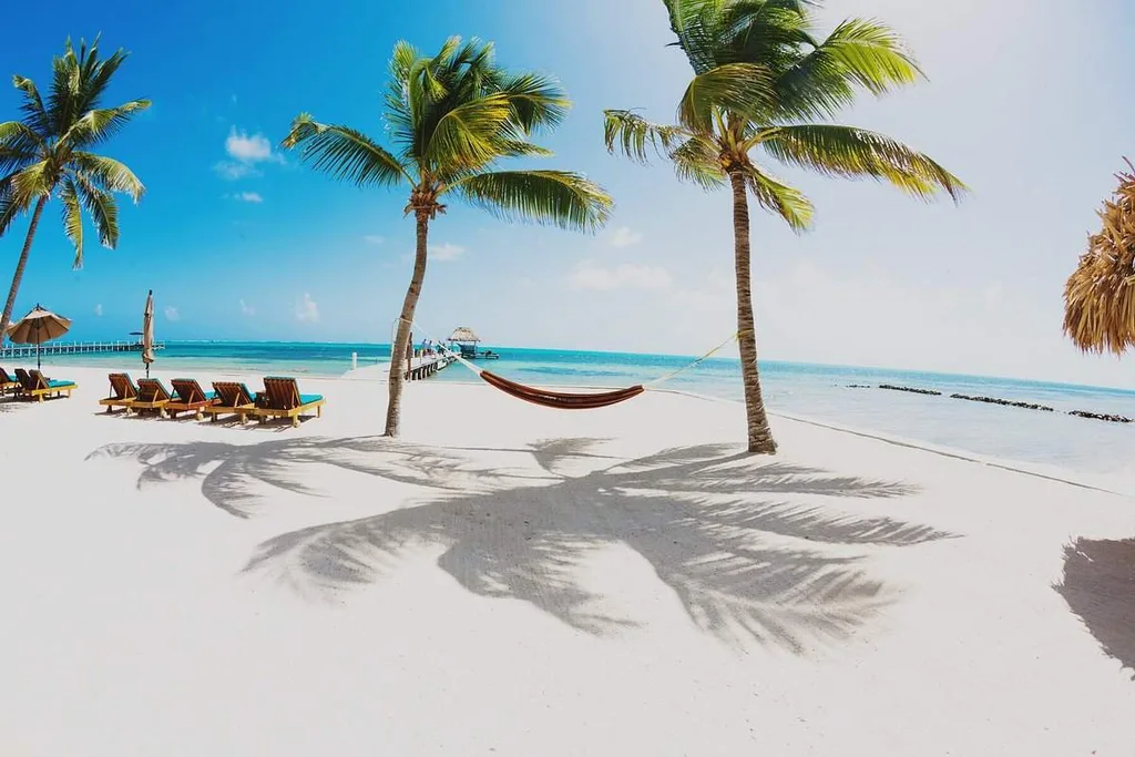 hammock between two palm trees on white sand beach