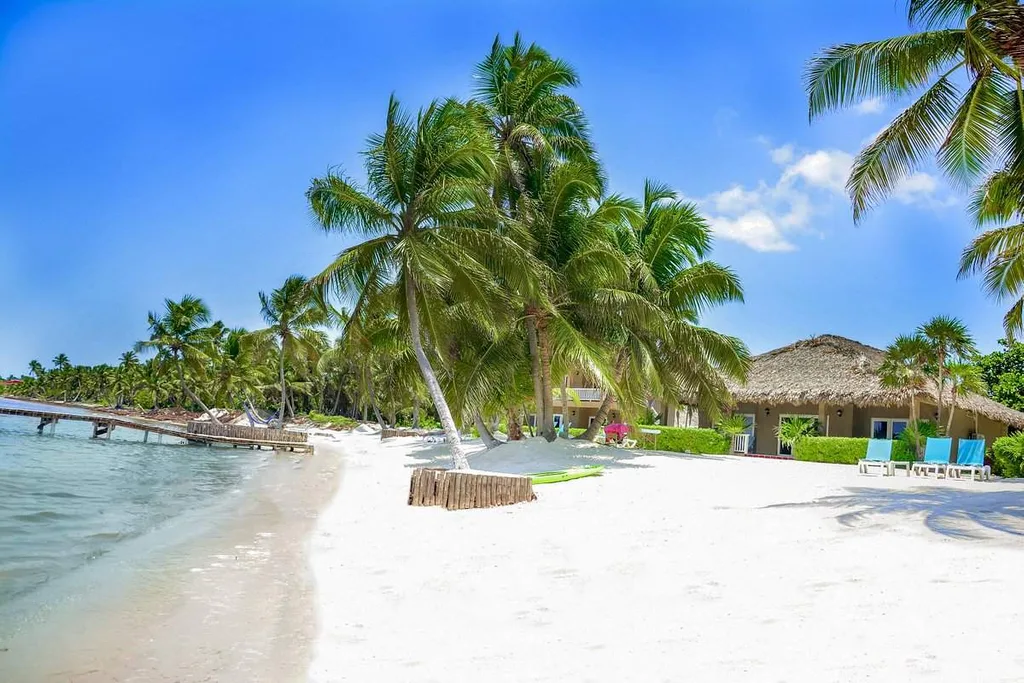 palm trees on white sand beach