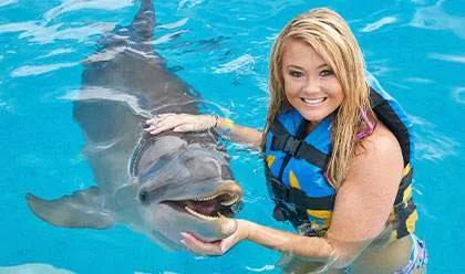 pretty blond woman rubbing dolphin