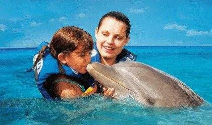 young girl kissing dolphin