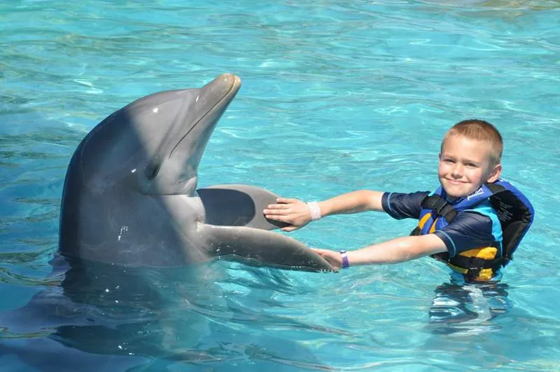 little boy holding dolphin fins