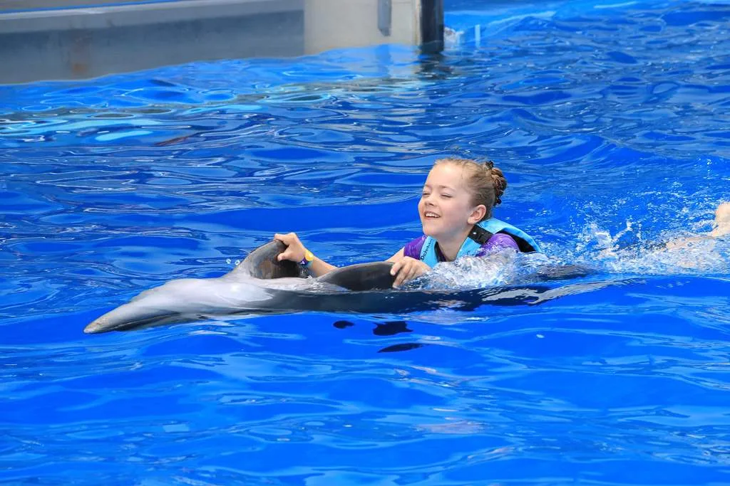 girl riding upside down dolphin