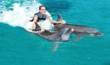 woman riding fins of 2 dolphins